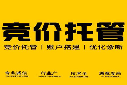 某电商平台的SEM投放全流程案例